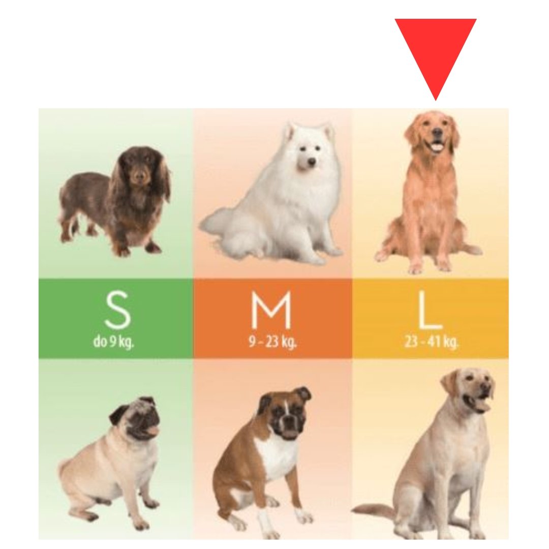 FURminator Undercoat Deshedding Tool for Large Dogs – Long Hair - Image 5