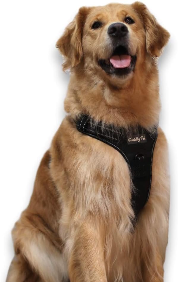 Dog Harness No Pull, Walking Pet Harness with 2 Metal Rings and Handle Reflective Breathable Oxford Soft Vest Easy Control Front Clip Harness for Large Dogs (XL - Image 3