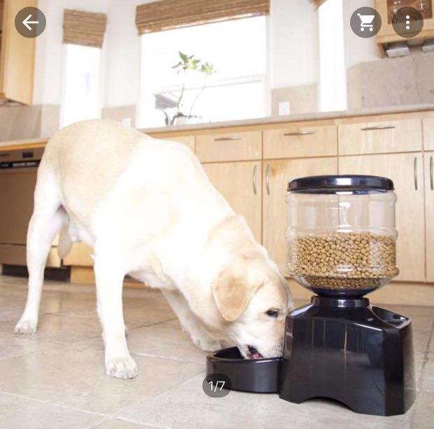 Automatic Pet Feeder Automatic Dog Feeder Small&Medium Pets Food Feeder Pet Dry Food Dispenser Cat Food Storage Kitten Food Feeder Cat Feeder Bowl black - Image 3