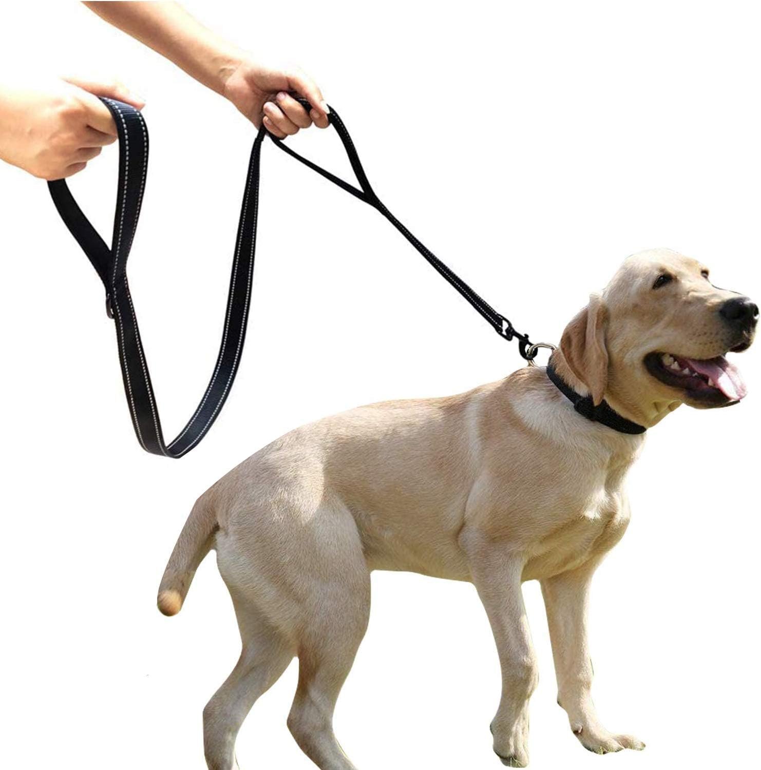 Heavy Duty Dog Leash with Comfortable Padded Handle Reflective Training Dog leashes for Medium Large Dogs Up to 80lbs