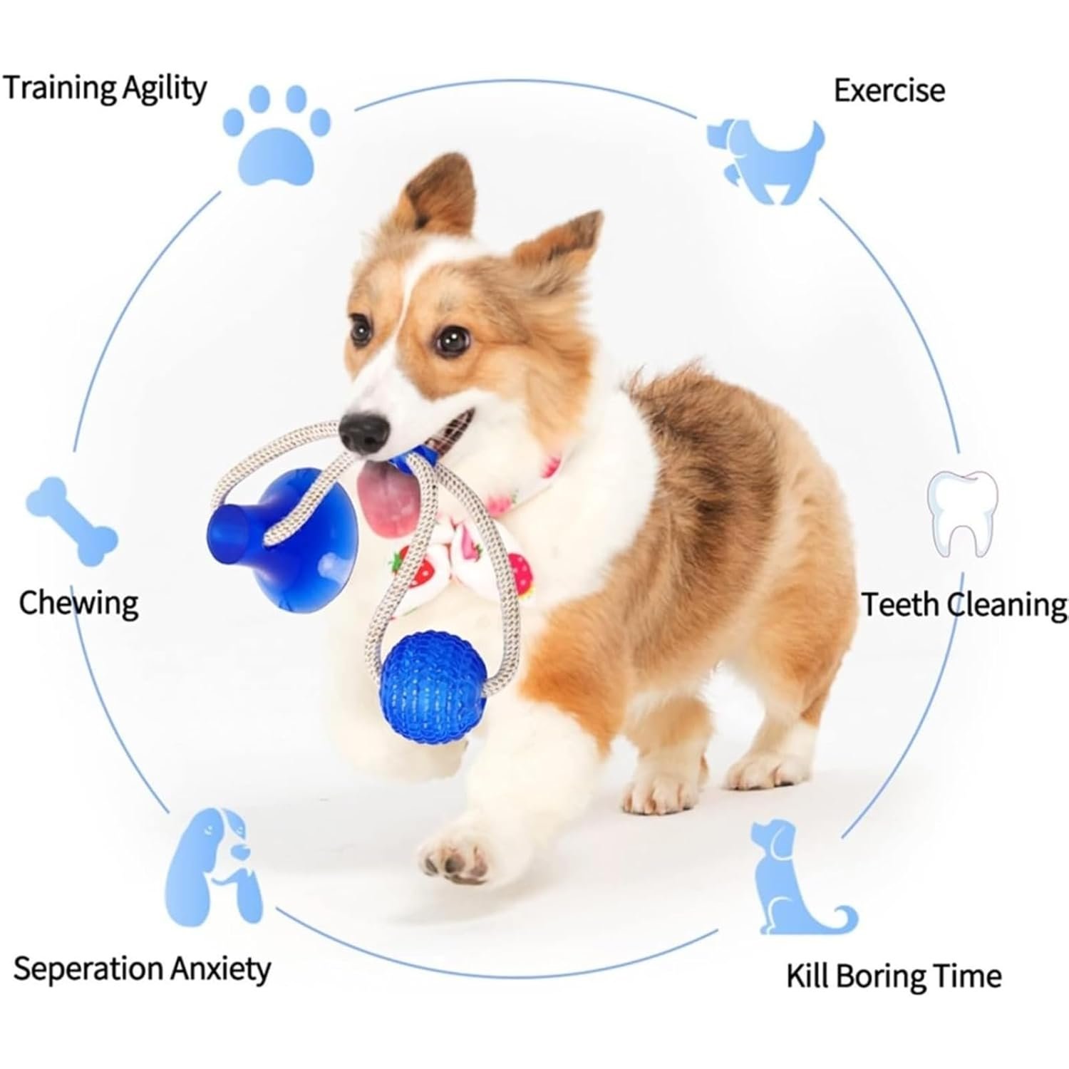 Dog Trust Suction Cup Dog Toy, Multifunction Pet Molar Bite Toy, Durable Pet Chew Bite Rope Toy, Dog Rubber Ball Toy with Suction Cup for Dental Care Teeth Cleaning Separation Anxiety (Blue) - Image 4