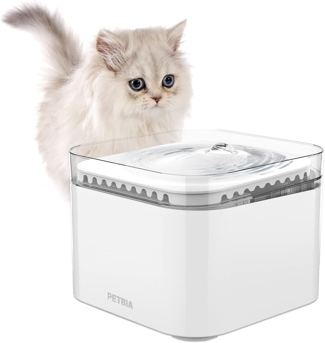 Cat Water Fountain with Upgraded Quiet Pump, 84oz/2.5L Automatic Pet Water Fountain Dog Water Dispenser with 2 Active Carbon Filters for Cats, Dogs, Pets