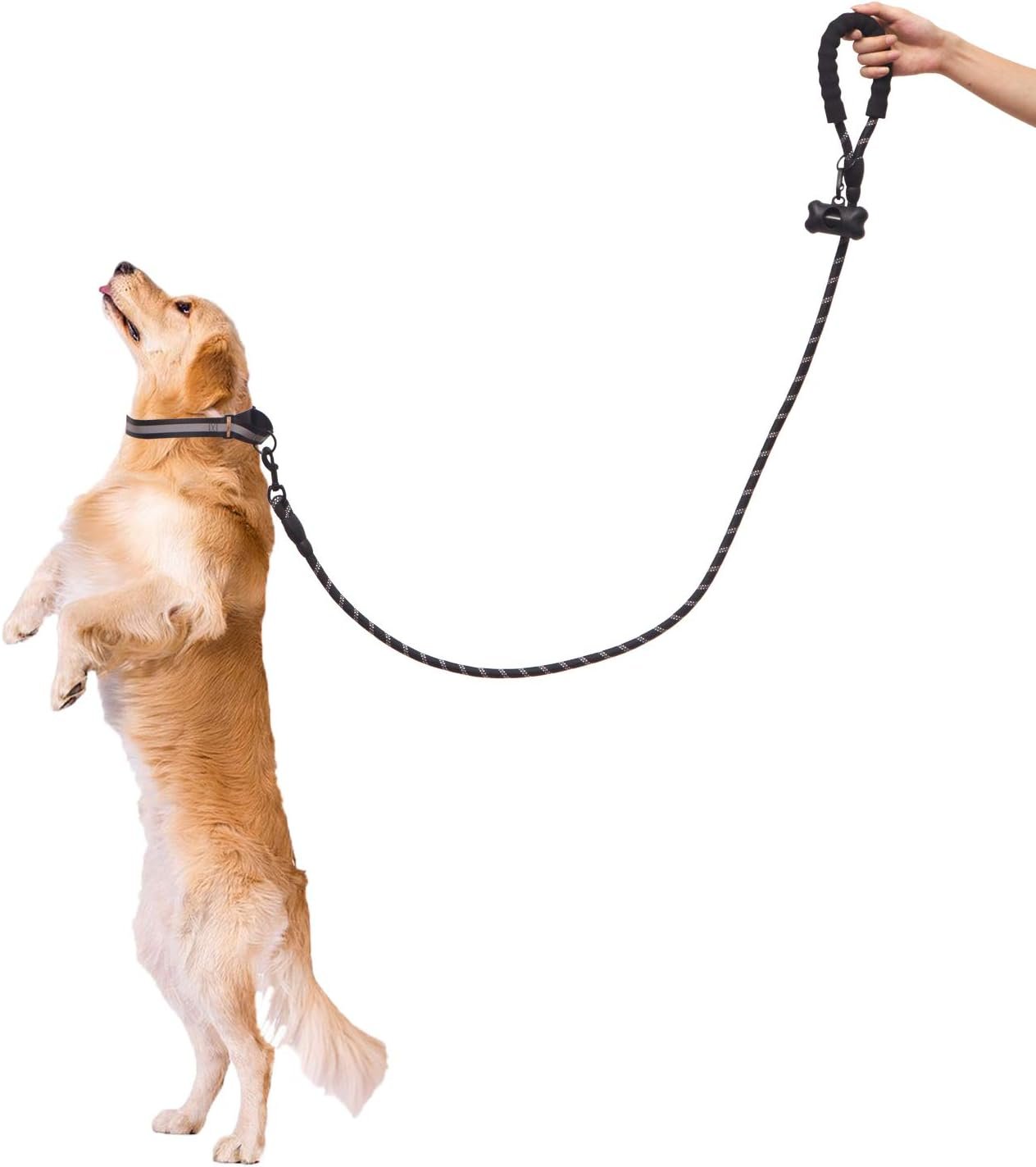 Reflective Strong Dog Leash, Heavy Duty Dog Leash with Reflective Dog Collar and Dog Waste Bag Dispenser for Dogs (150 cm Leash + L Collar, Blue) - Image 14