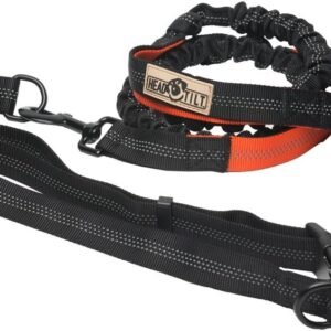 Head Tilt Hands Free Dog Leash, Orange