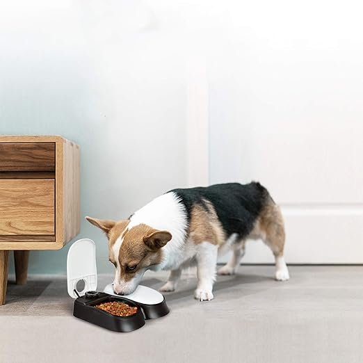 PAWISE Automatic Cat Feeders 2 Meal Automatic Dog Feeder,Dog/Cat Food Dispenser 1.5 Cups, Schedule Meal or Treat, with 48-Hour Timer - Image 5
