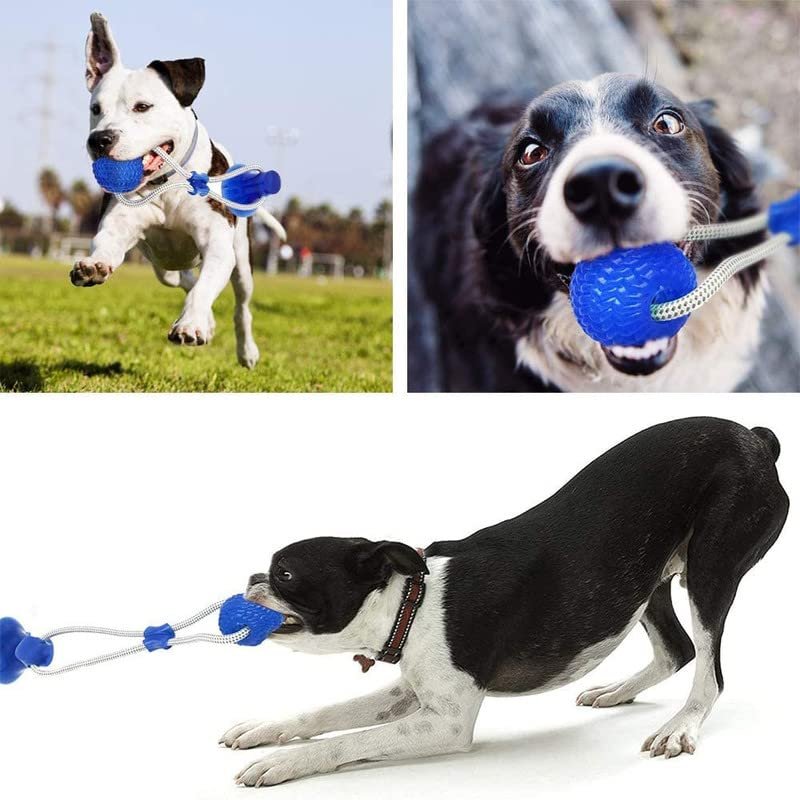 Dog Trust Suction Cup Dog Toy, Multifunction Pet Molar Bite Toy, Durable Pet Chew Bite Rope Toy, Dog Rubber Ball Toy with Suction Cup for Dental Care Teeth Cleaning Separation Anxiety (Blue) - Image 9