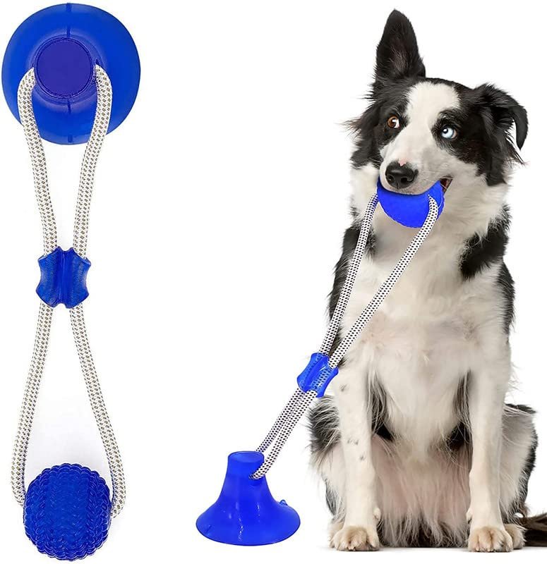 Dog Trust Suction Cup Dog Toy, Multifunction Pet Molar Bite Toy, Durable Pet Chew Bite Rope Toy, Dog Rubber Ball Toy with Suction Cup for Dental Care Teeth Cleaning Separation Anxiety (Blue)
