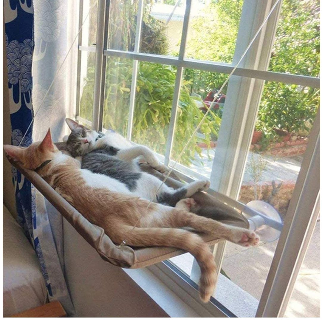Cat Hammock, Cat Window Perch with Suction Cups, Pet Resting Seat Safety Holds Two Large Cats, Cat Window Hammock Providing All Around 360° Sunbathe for Cats - Image 7