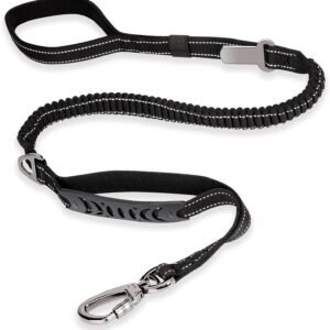 Dog Leash, 4-6 feet Highly Reflective Heavy Duty Dog Leash with Comfortable Padded Handle and Car Seat Belt Buckle for Medium and Large Dogs