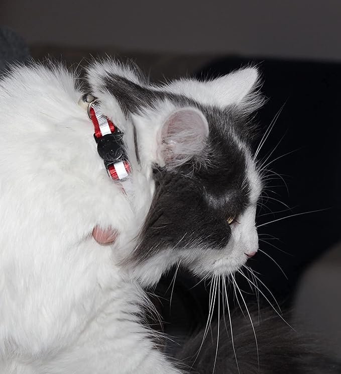 Reflective-Breakaway Cat Collars with Bells - Image 6