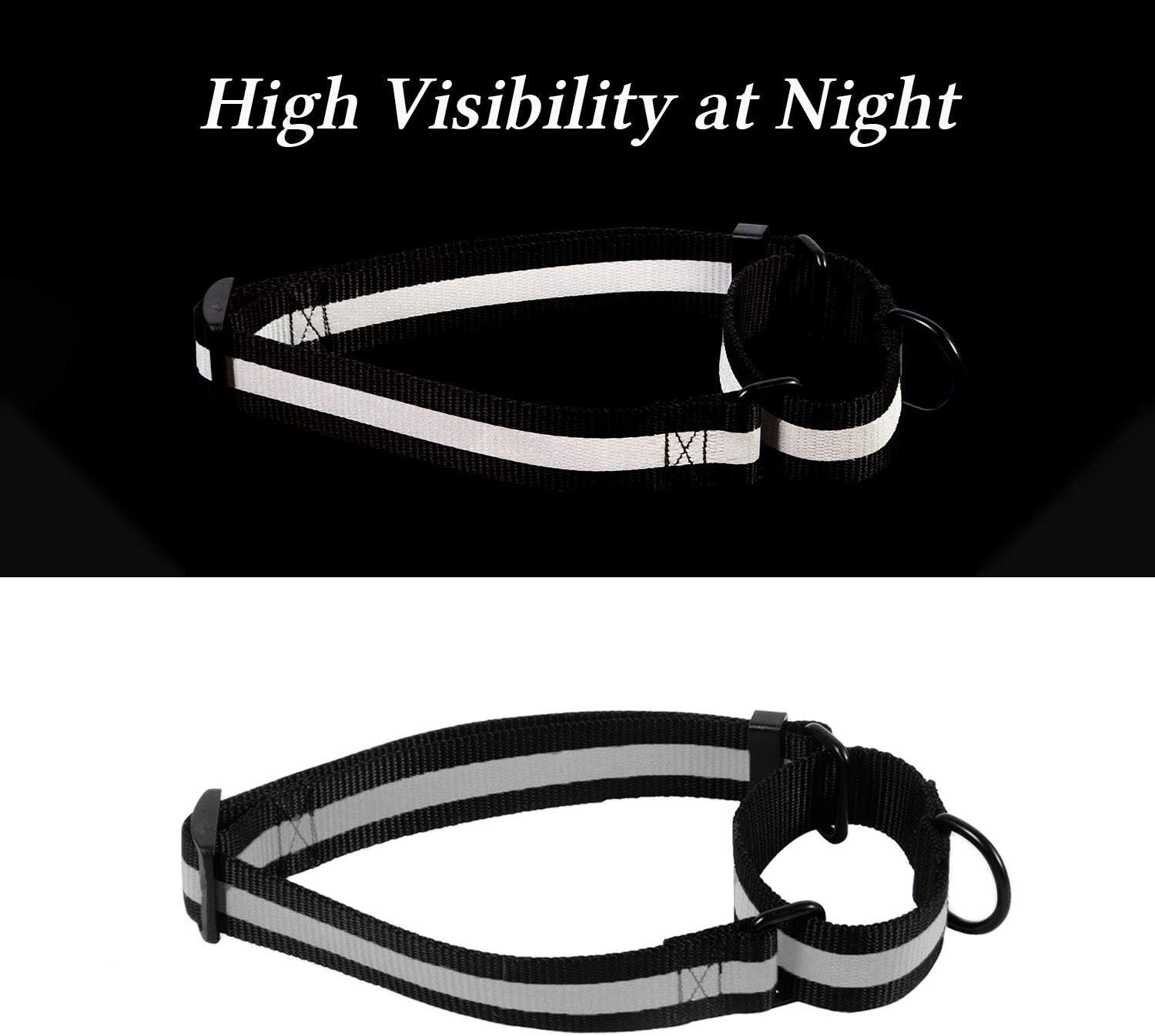 Reflective Strong Dog Leash, Heavy Duty Dog Leash with Reflective Dog Collar and Dog Waste Bag Dispenser for Dogs (150 cm Leash + L Collar, Blue) - Image 12