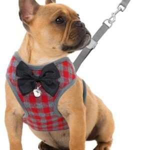 Small Dog Harness and Leash Set - No Pull Pet Harness with Soft Mesh Nylon Vest for Small Dogs and Cats Red