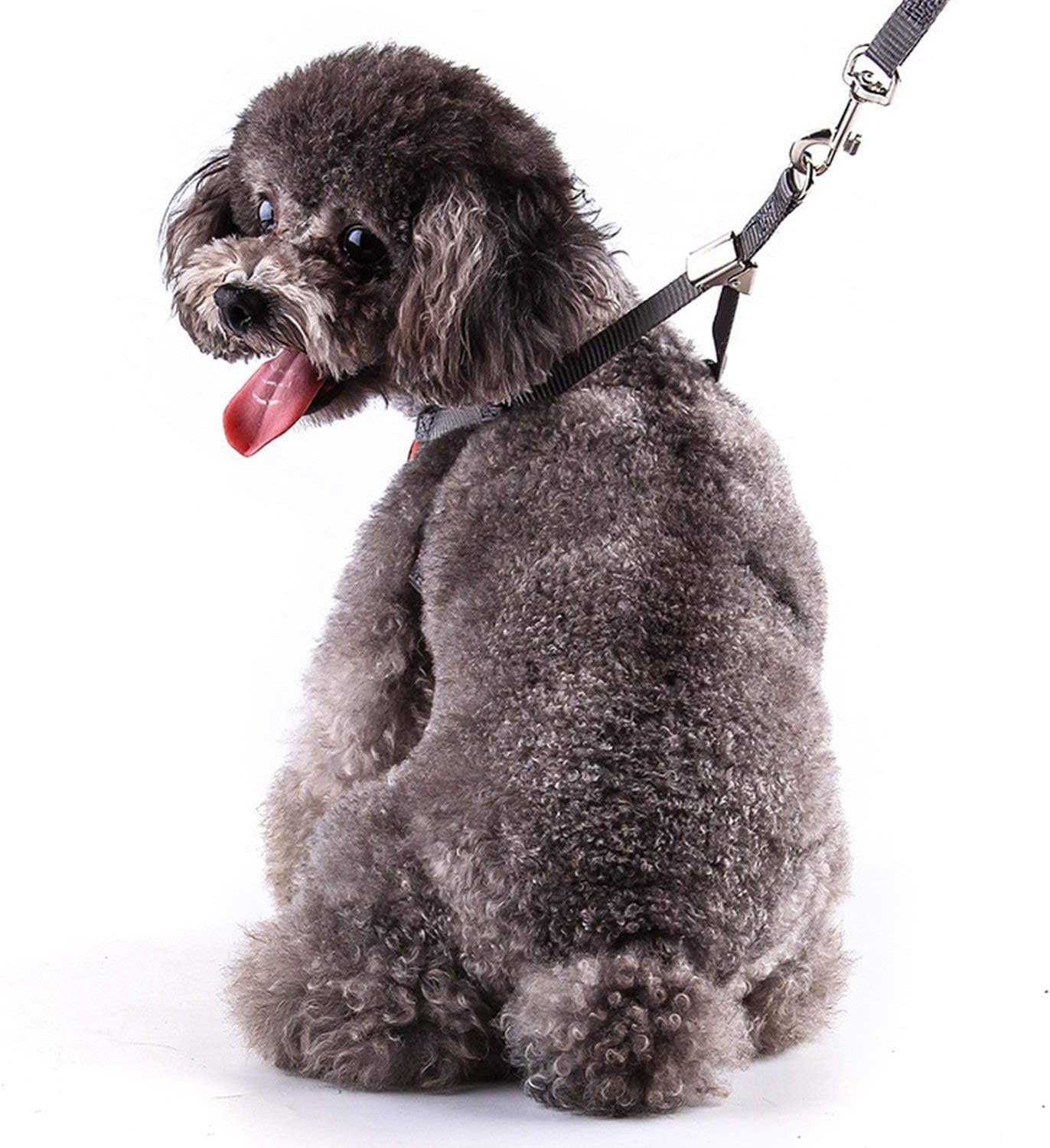 Small Dog Harness and Leash Set - No Pull Pet Harness with Soft Mesh Nylon Vest for Small Dogs and Cats Red - Image 6