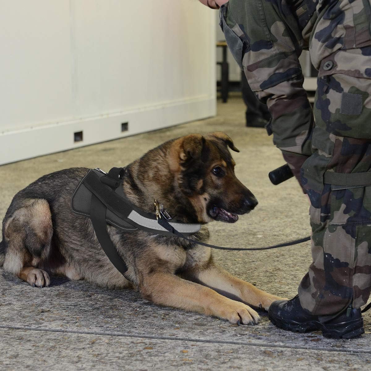 Bolux Dog Harness, No-Pull Reflective Dog Vest, Breathable Adjustable Pet Harness with Handle for Outdoor Walking - No More Pulling, Tugging or Choking - Image 6