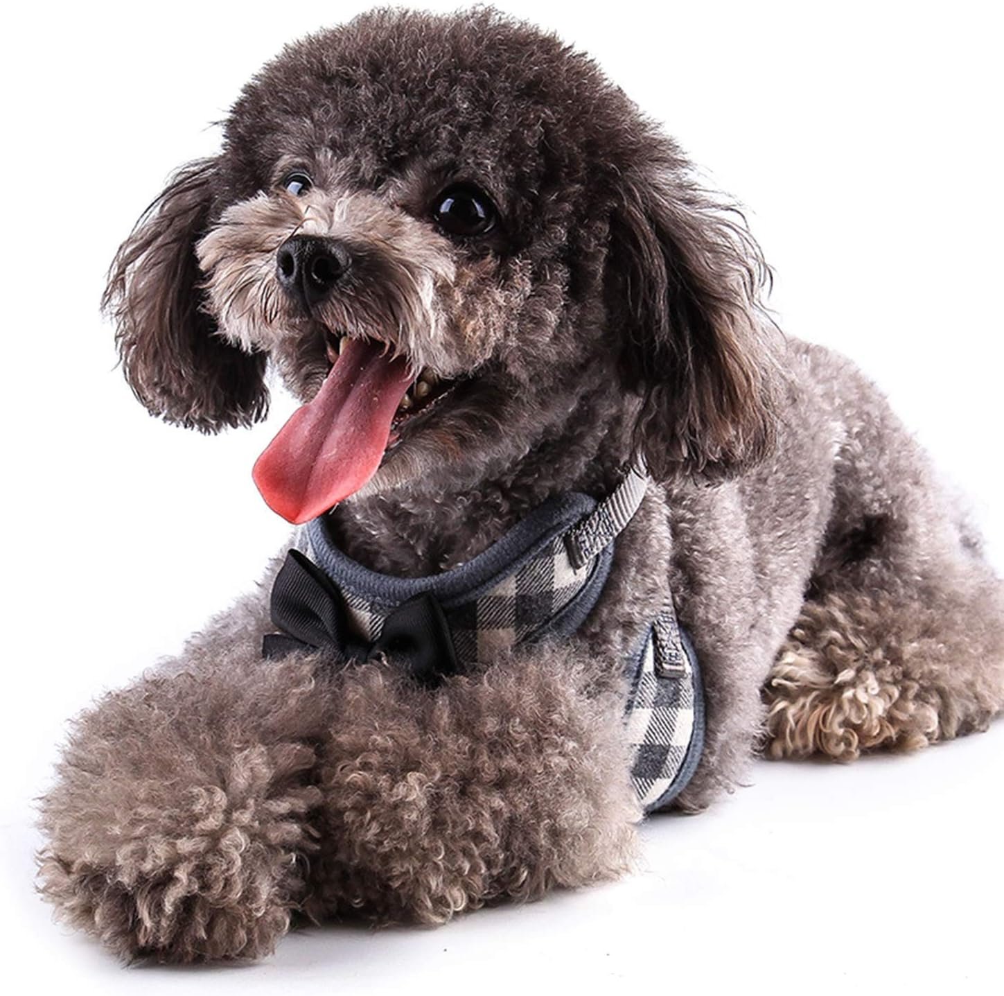 Small Dog Harness and Leash Set - No Pull Pet Harness with Soft Mesh Nylon Vest for Small Dogs and Cats Red - Image 8