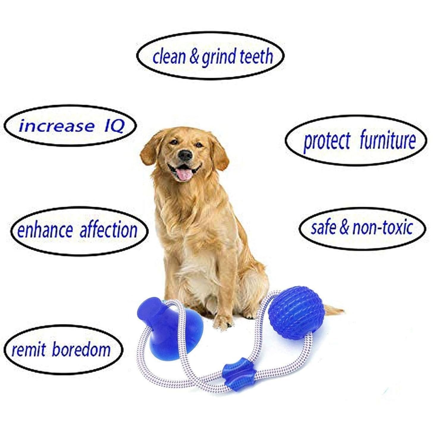 Dog Trust Suction Cup Dog Toy, Multifunction Pet Molar Bite Toy, Durable Pet Chew Bite Rope Toy, Dog Rubber Ball Toy with Suction Cup for Dental Care Teeth Cleaning Separation Anxiety (Blue) - Image 8