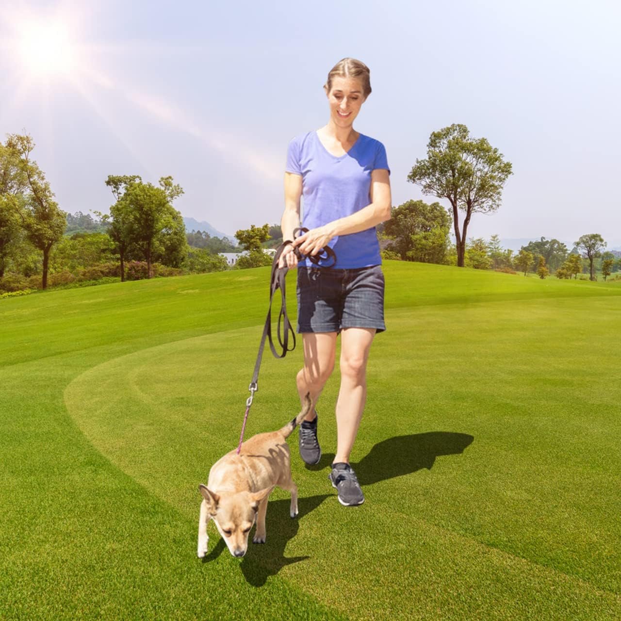 Dog/Puppy Obedience Recall Training Agility Lead - 9 meter Training Leash - Great for Training, Play, Camping, or Backyard, 2 Packs Black Long Leash - Image 6