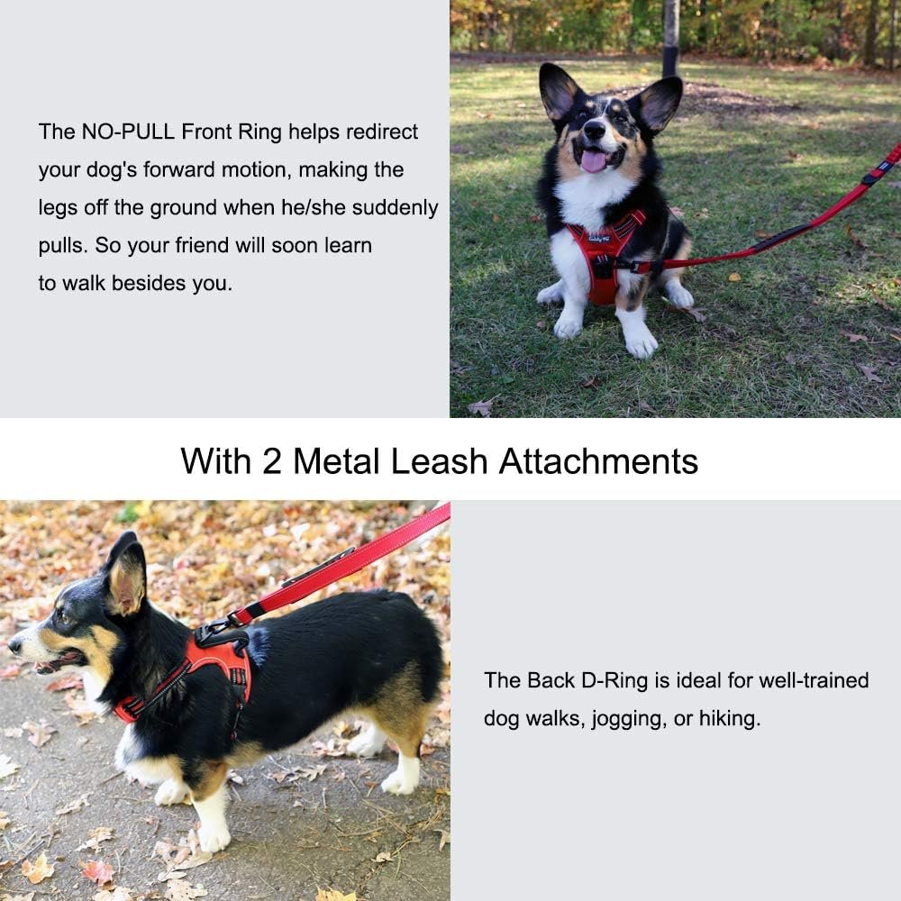 Dog Harness No Pull, Walking Pet Harness with 2 Metal Rings and Handle Reflective Breathable Oxford Soft Vest Easy Control Front Clip Harness for Large Dogs (XL - Image 6