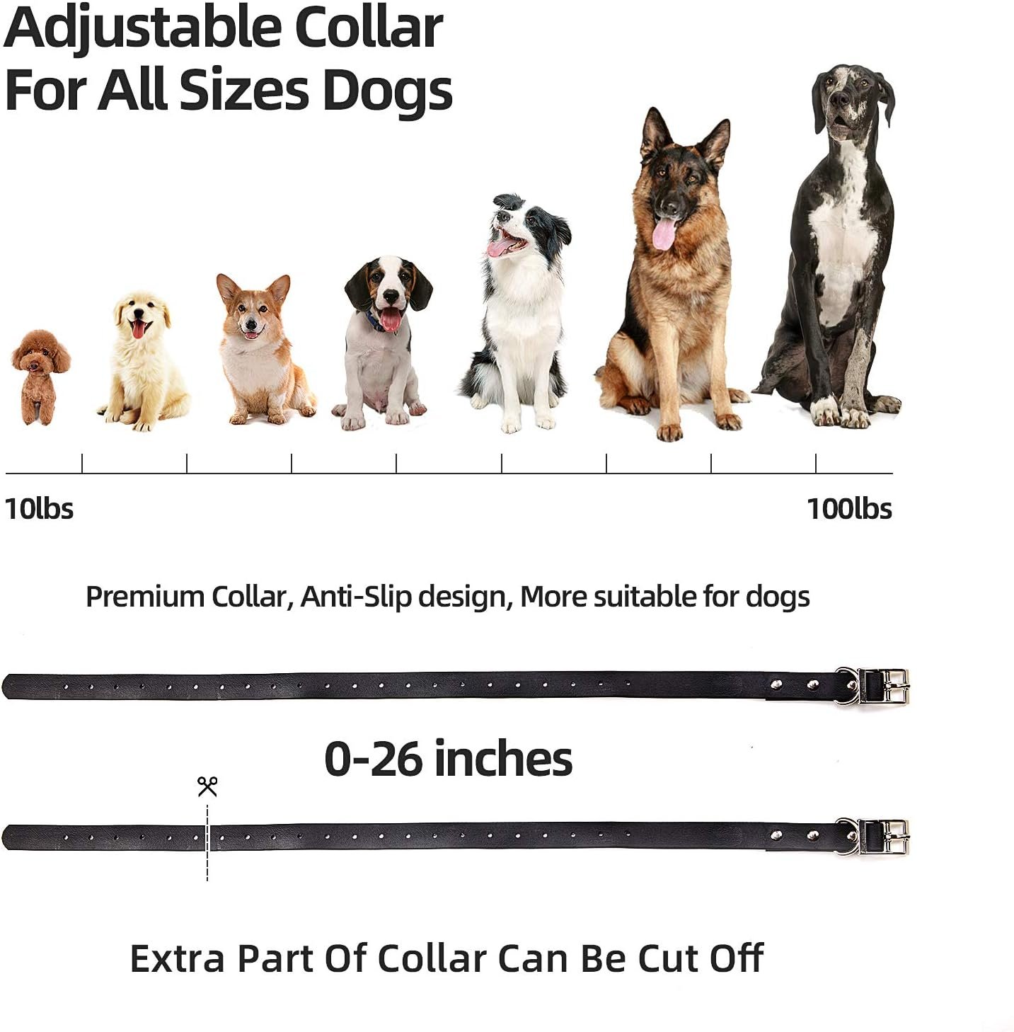 Dog Training Collar, Shock Collar for Dogs with Remote, 3 Training Modes-Beep, Vibration and No Harm Shock, 2 in 1 Rechargeable Collar, Adjustable Waterproof E Collar for Large Medium Small Dogs - Image 5