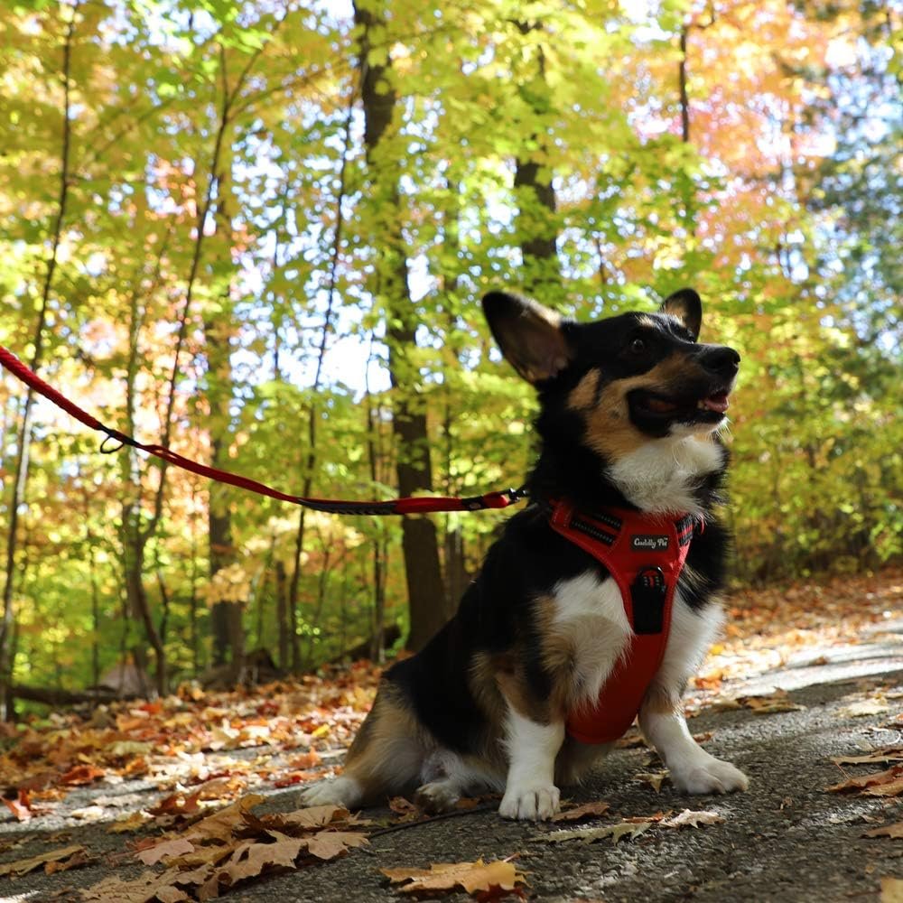 Dog Harness No Pull, Walking Pet Harness with 2 Metal Rings and Handle Reflective Breathable Oxford Soft Vest Easy Control Front Clip Harness for Large Dogs (XL - Image 7