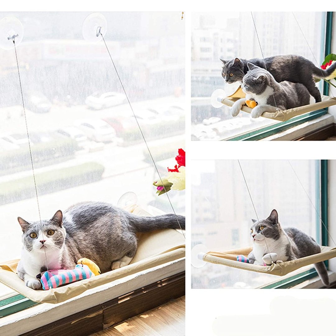 Cat Hammock, Cat Window Perch with Suction Cups, Pet Resting Seat Safety Holds Two Large Cats, Cat Window Hammock Providing All Around 360° Sunbathe for Cats - Image 8