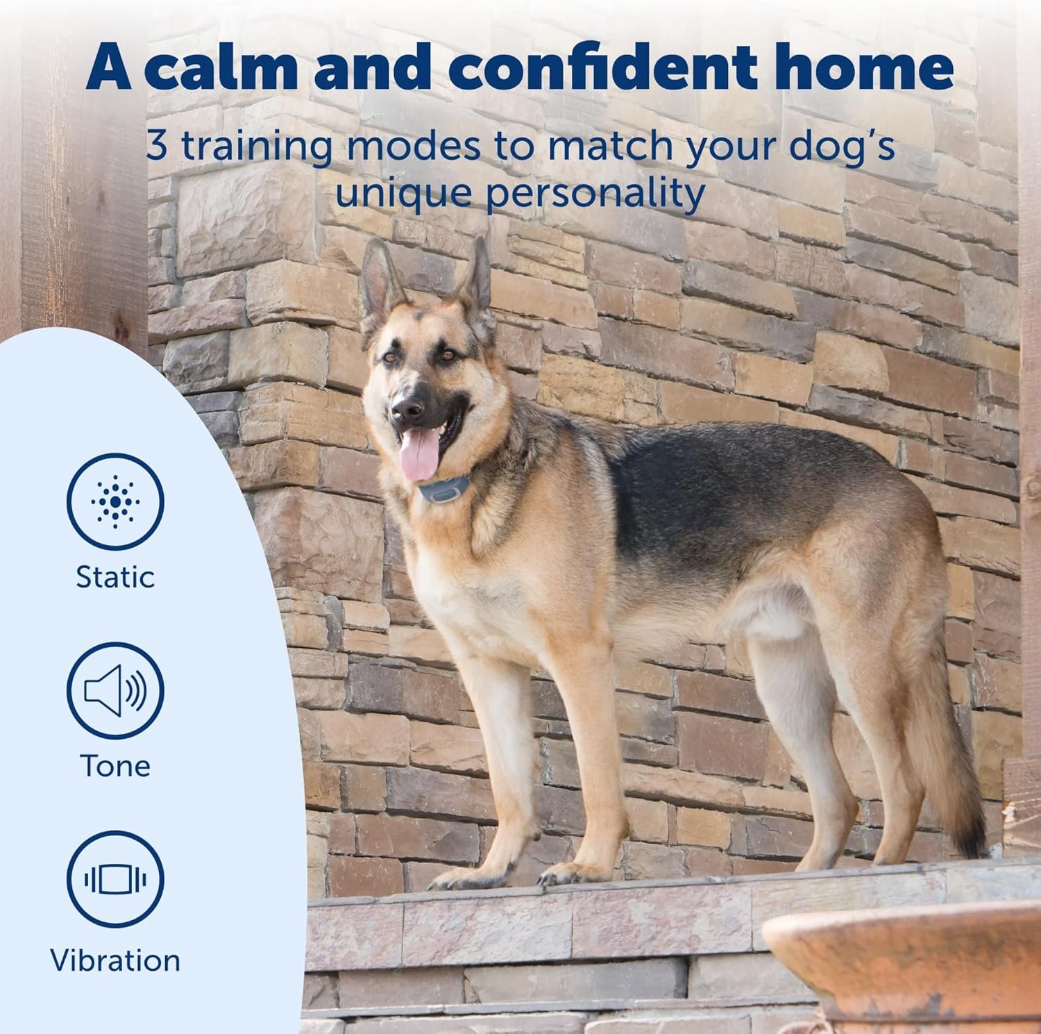 PetSafe Smart Dog Training Collar – Uses Smartphone as Handheld Remote Control – Tone, Vibration, 1-15 Levels of Static Stimulation – Bluetooth Wireless System – All in One Pet Training Solution - Image 4