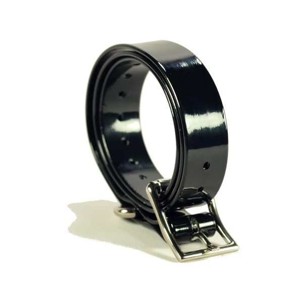 Easy Pet-380 R Remote Dog training System - Image 7