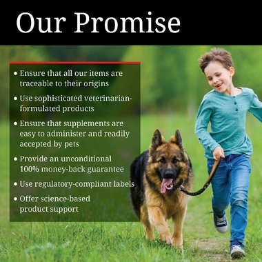 Nutri-Vet Enzymatic Toothpaste for Dogs (2.5 oz) - Image 5