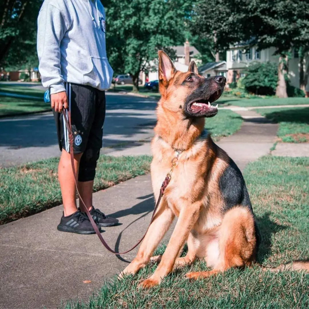 Leather Dog Leash 6 ft Leather Dog Training Leash Pet Braided Dog Leash for Large Medium Leads Rope Dogs Walking&Training (1/2 Inch,Brown) - Image 7