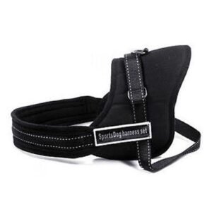 Harness for dogs Sports Dog