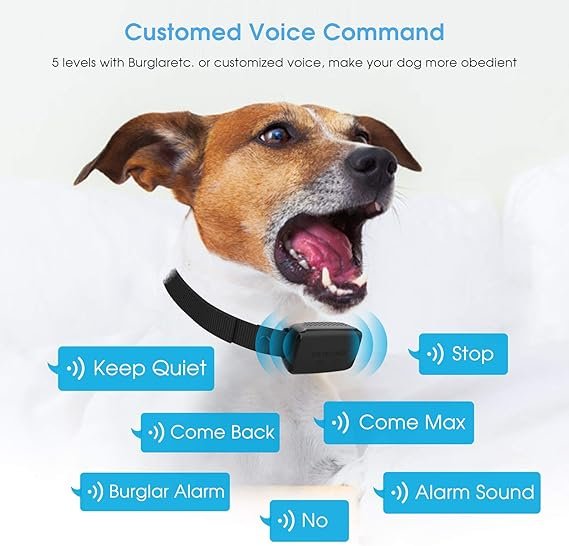 B1sPro Bark Collar with APP and Watch Control, IP68 Waterproof Dog Training Collar with Smart Progressive Correction, Barking Report, Custom Sound, Rechargeable Anti Bark Collar - Image 3