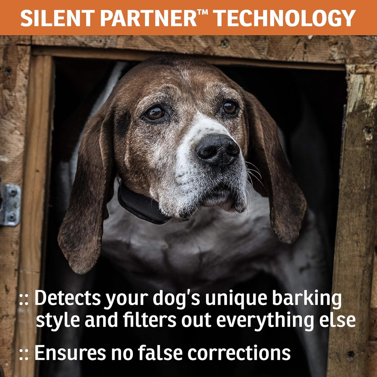 SportDOG Brand NoBark SBC-R Bark Collar - Shock Collar - 3 Modes of Operation - Rechargeable, Waterproof - Static Correction E-Collar - Dogs 8 lbs & up - Image 3