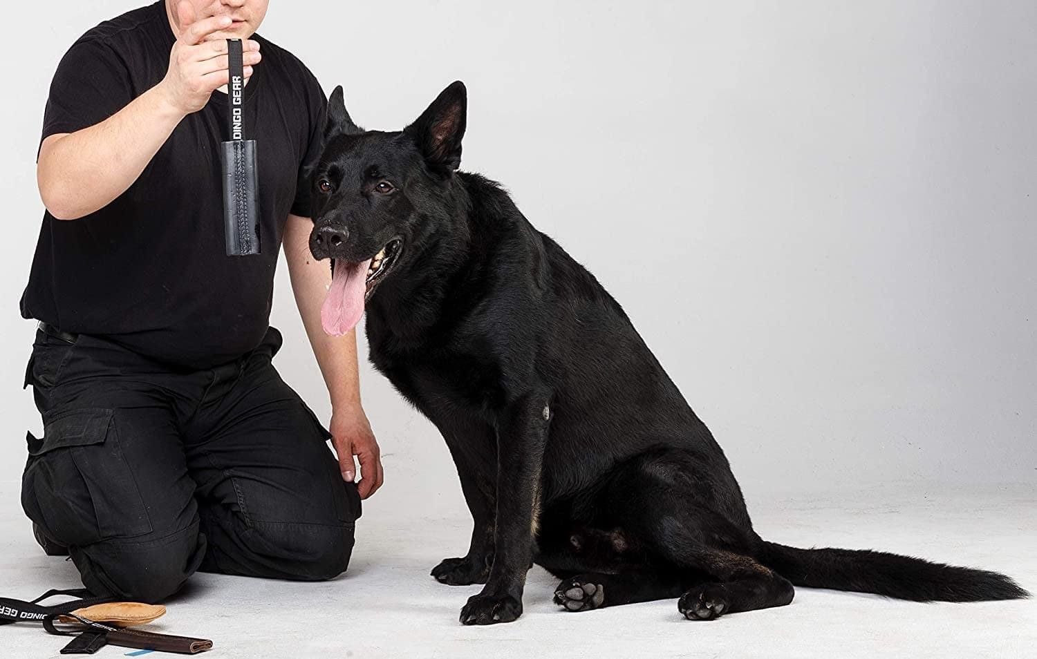 DINGO GEAR Dog Bite Tug Handmade of Black Grain Leather Strong Tug for Bite Training K9 IPO Agility and Just Fun S00232 - Image 4