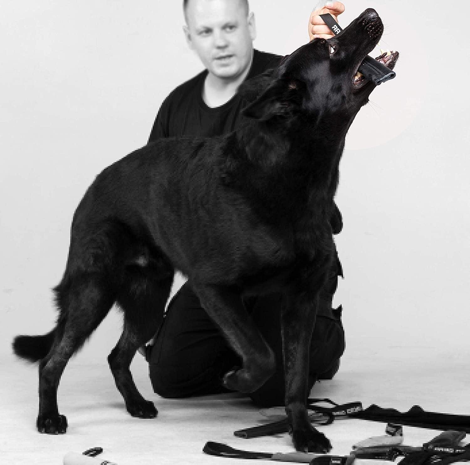 DINGO GEAR Dog Bite Tug Handmade of Black Grain Leather Strong Tug for Bite Training K9 IPO Agility and Just Fun S00232 - Image 5